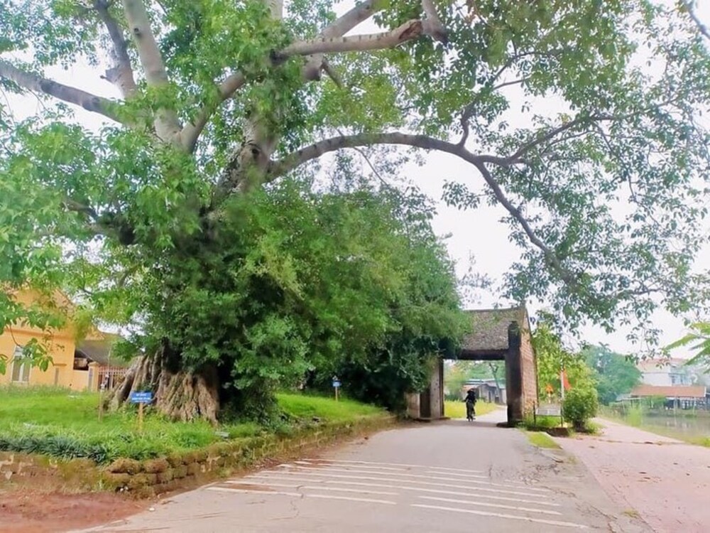 Pocket the most detailed Duong Lam Ancient Village travel experience 2