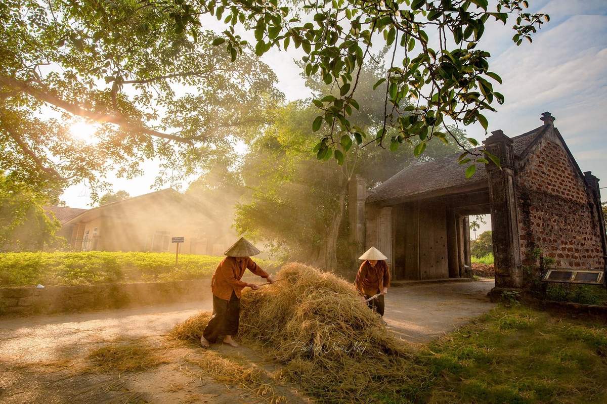 Pocket the most detailed Duong Lam Ancient Village travel experience 4