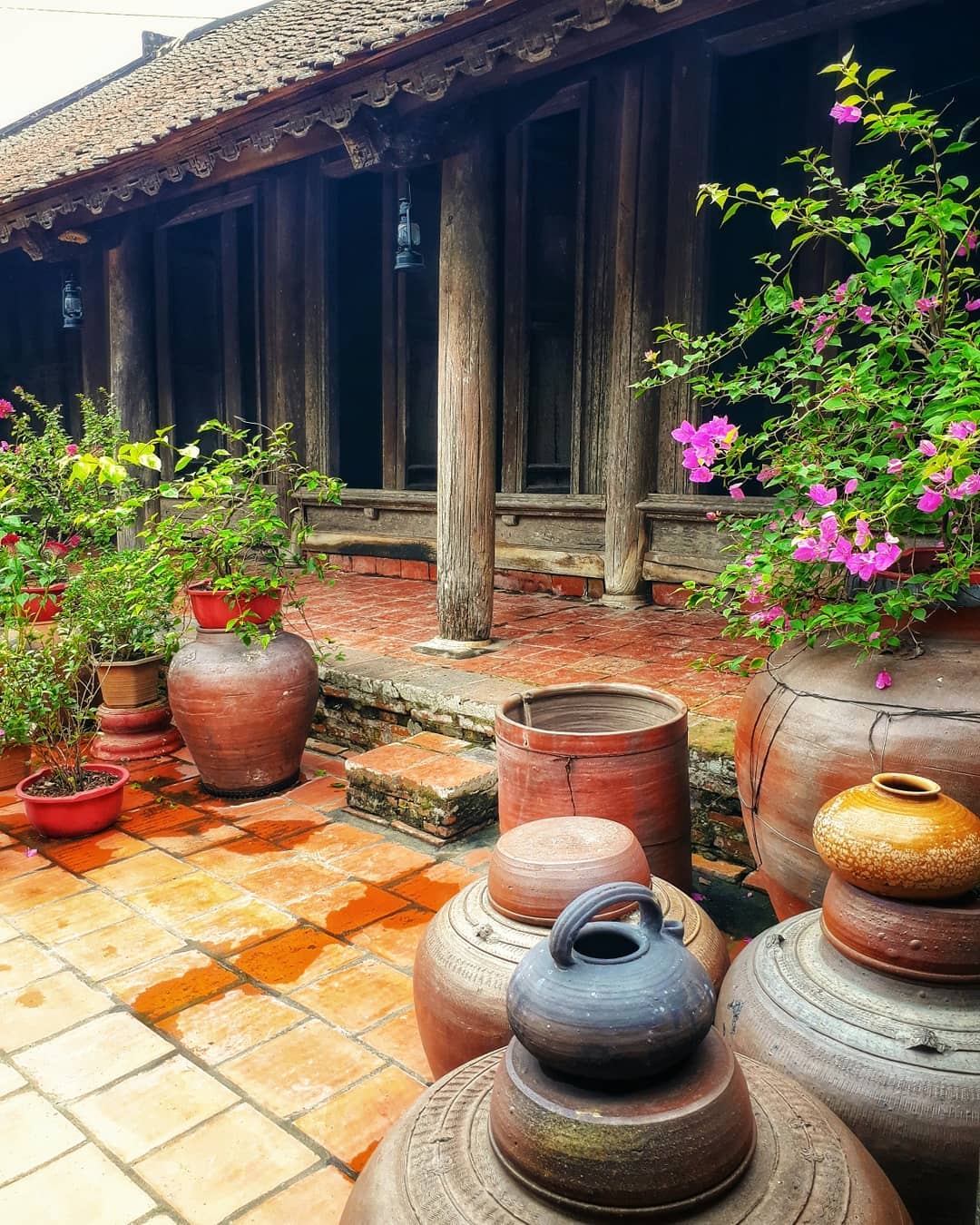 Pocket the most detailed experience traveling to Duong Lam Ancient Village 10