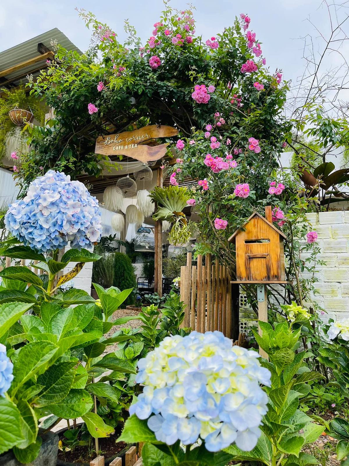 Boho Corner Coffee - Unique, charming Bohemia style coffee shop 3