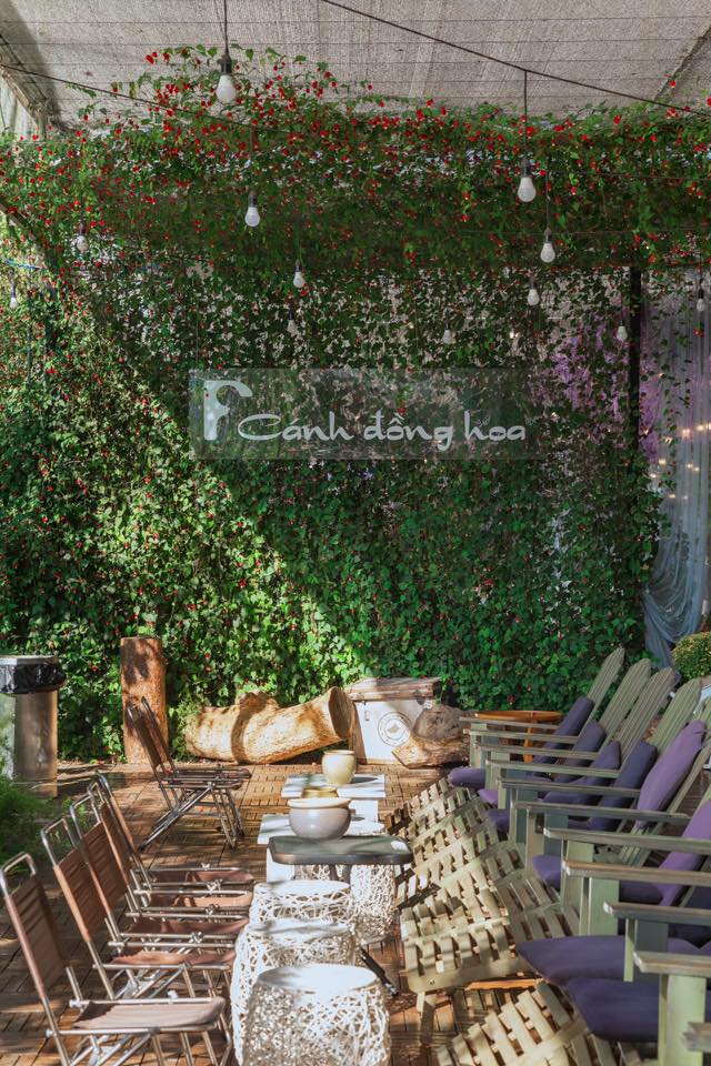 Restaurant F, Dalat Coffee Flower Field, is poetic at Mimosa Pass 6