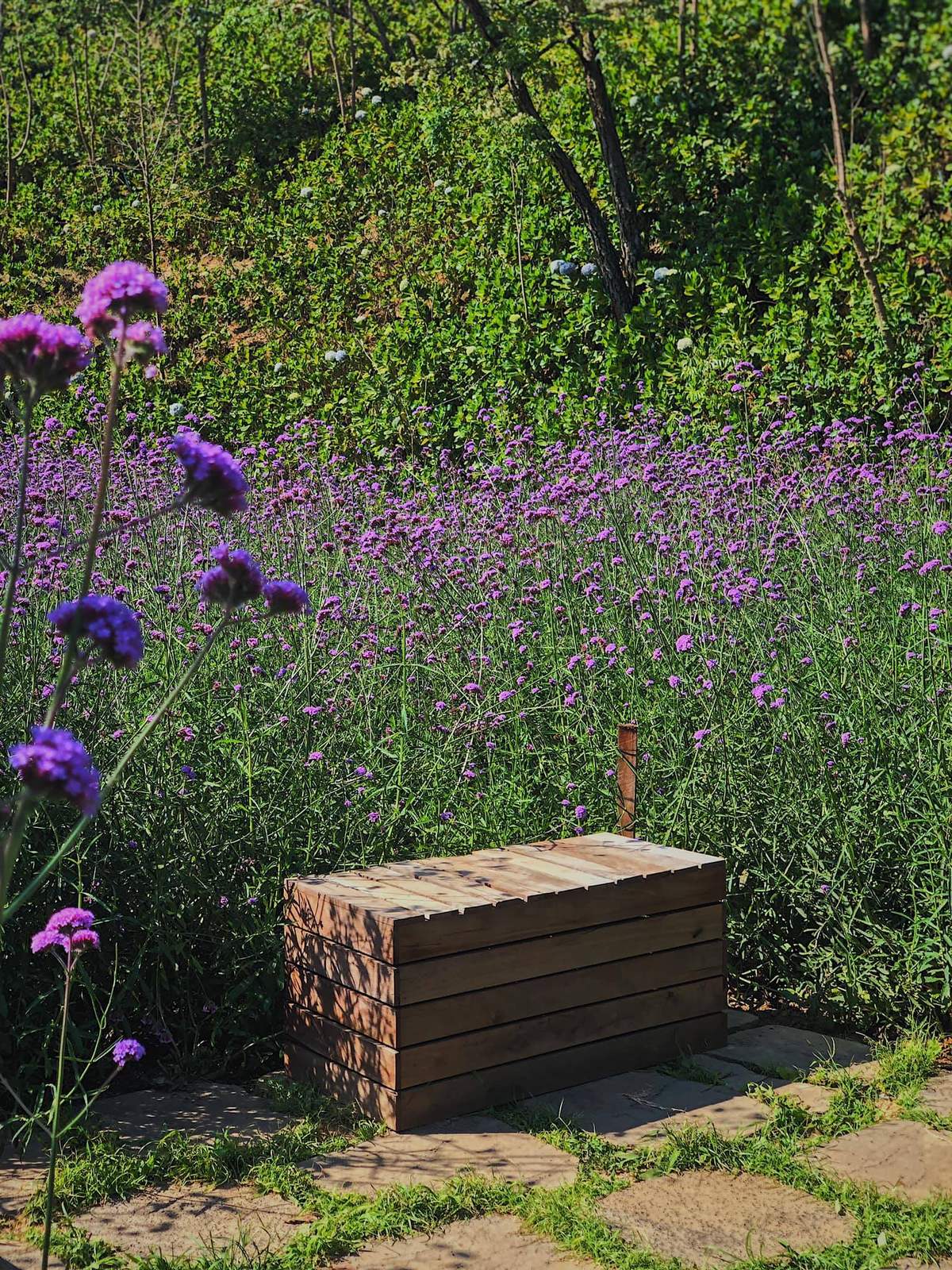 Restaurant F, Dalat Coffee Flower Field, is poetic at Mimosa Pass 2