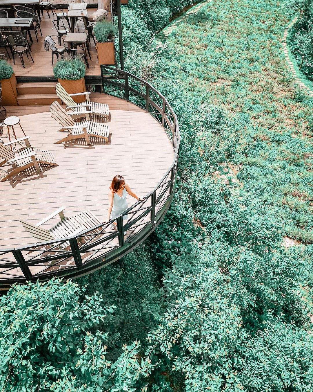 Restaurant F, Dalat Coffee Flower Field, is poetic at Mimosa Pass 8