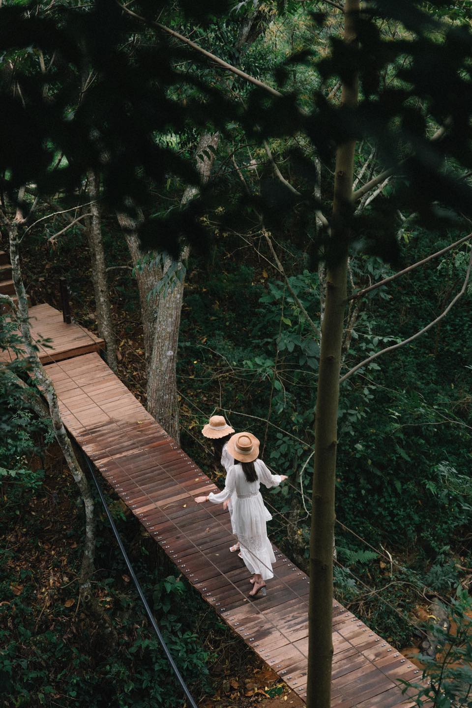 Restaurant F Dalat Coffee Flower Field is poetic at Mimosa 9 pass