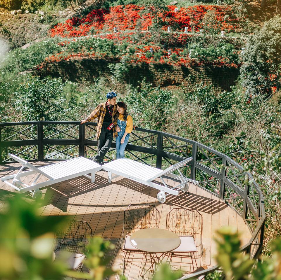 Restaurant F, Dalat Coffee Flower Field, is poetic at Mimosa Pass 7