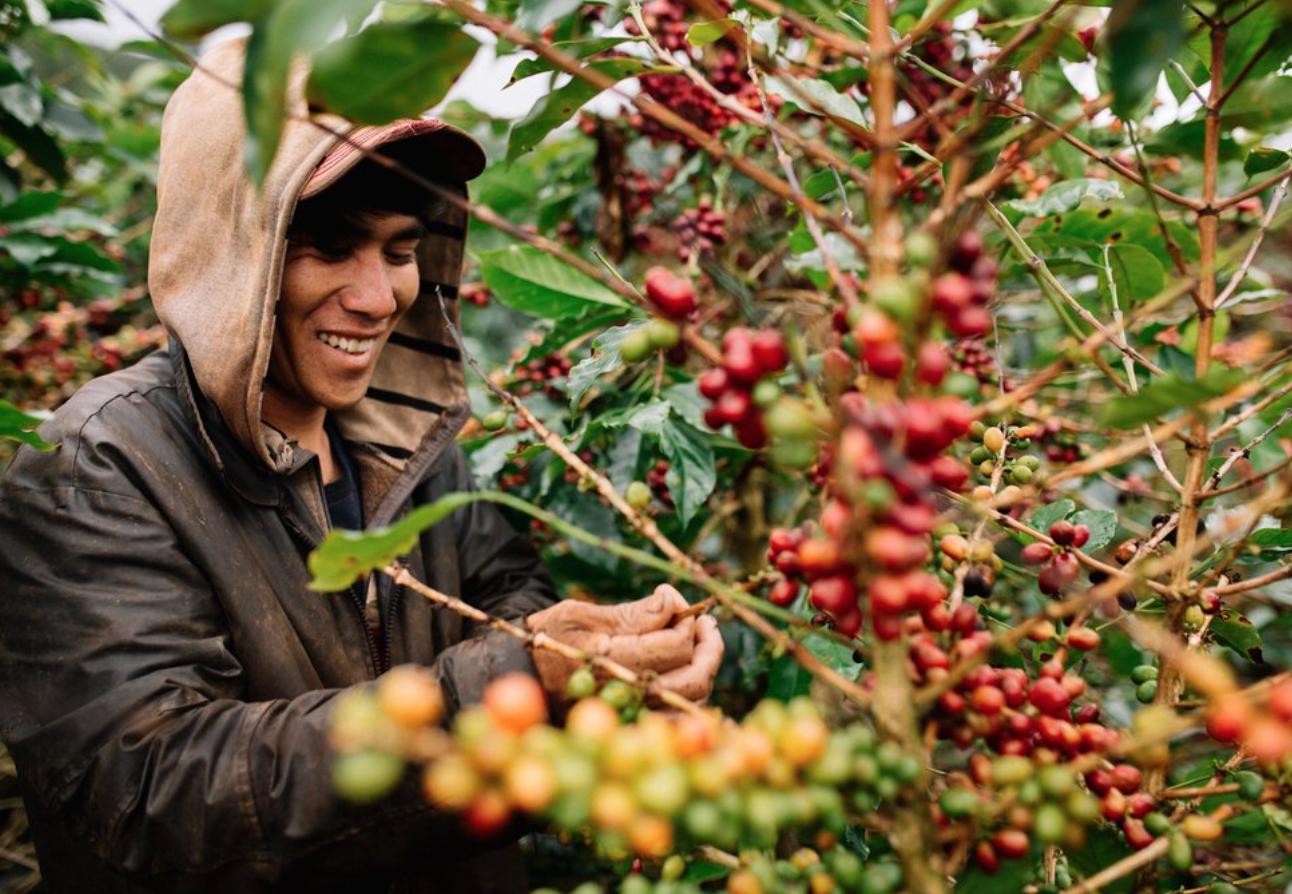 Dalat Coffee - A delicious specialty not to be missed in the city of thousands of flowers