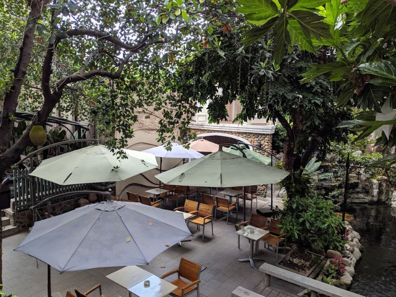 Top 3 koi fish cafes in Go Vap with beautiful, airy views that you must visit 5