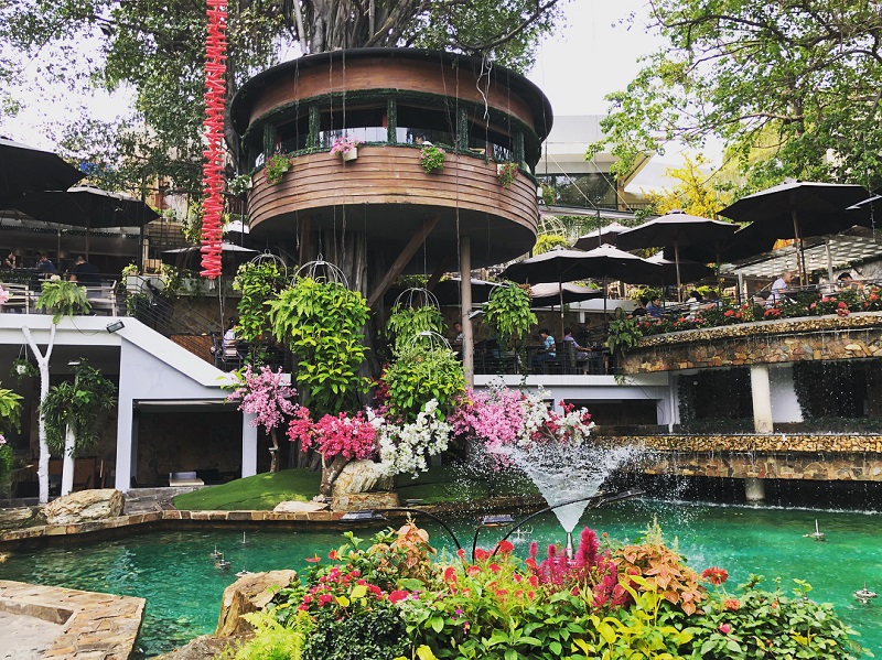Top chill cafes in Saigon to enjoy a peaceful day 8