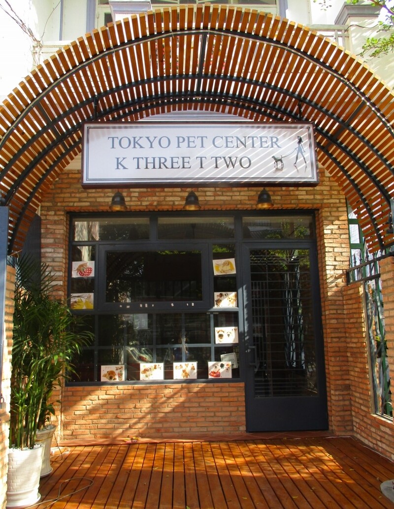Check out the TOP 7 super cute pet cafes in Saigon 2