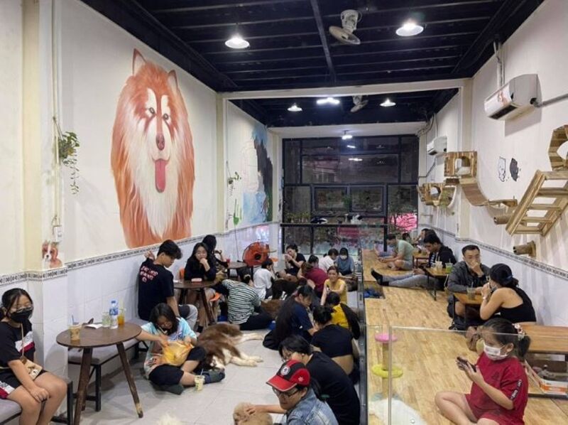 Check out the TOP 7 super cute pet cafes in Saigon 3