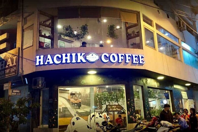 Check out the TOP 7 super cute pet cafes in Saigon 6