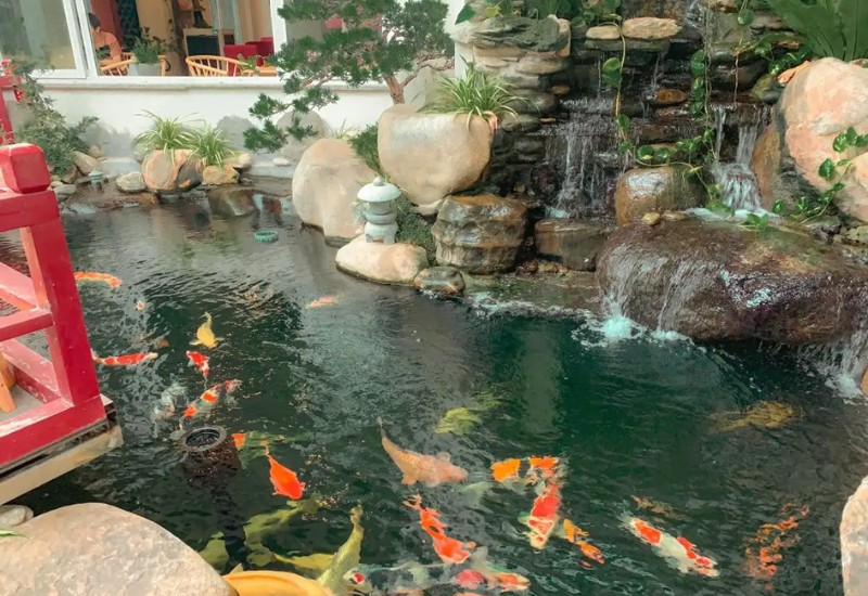Top 8 Koi fish cafes with beautiful and chill views in Thu Duc 7