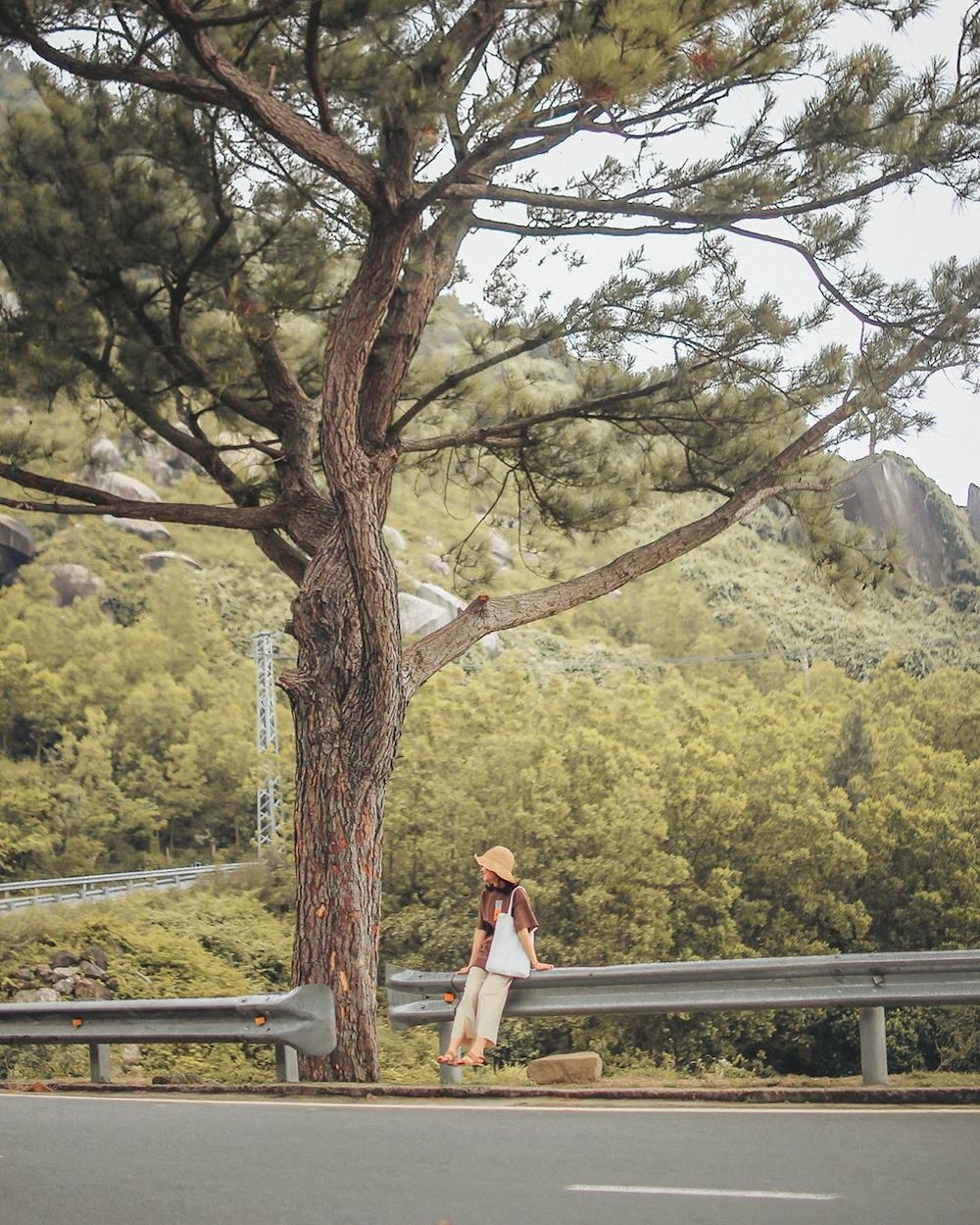 Immersed in the vast nature of Hai Van Pass at Hon Cu Rua Da Nang 6