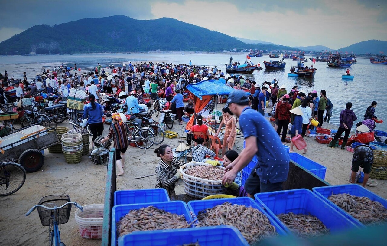 Da Nang Seafood Market - List of markets selling fresh seafood at extremely cheap prices 2