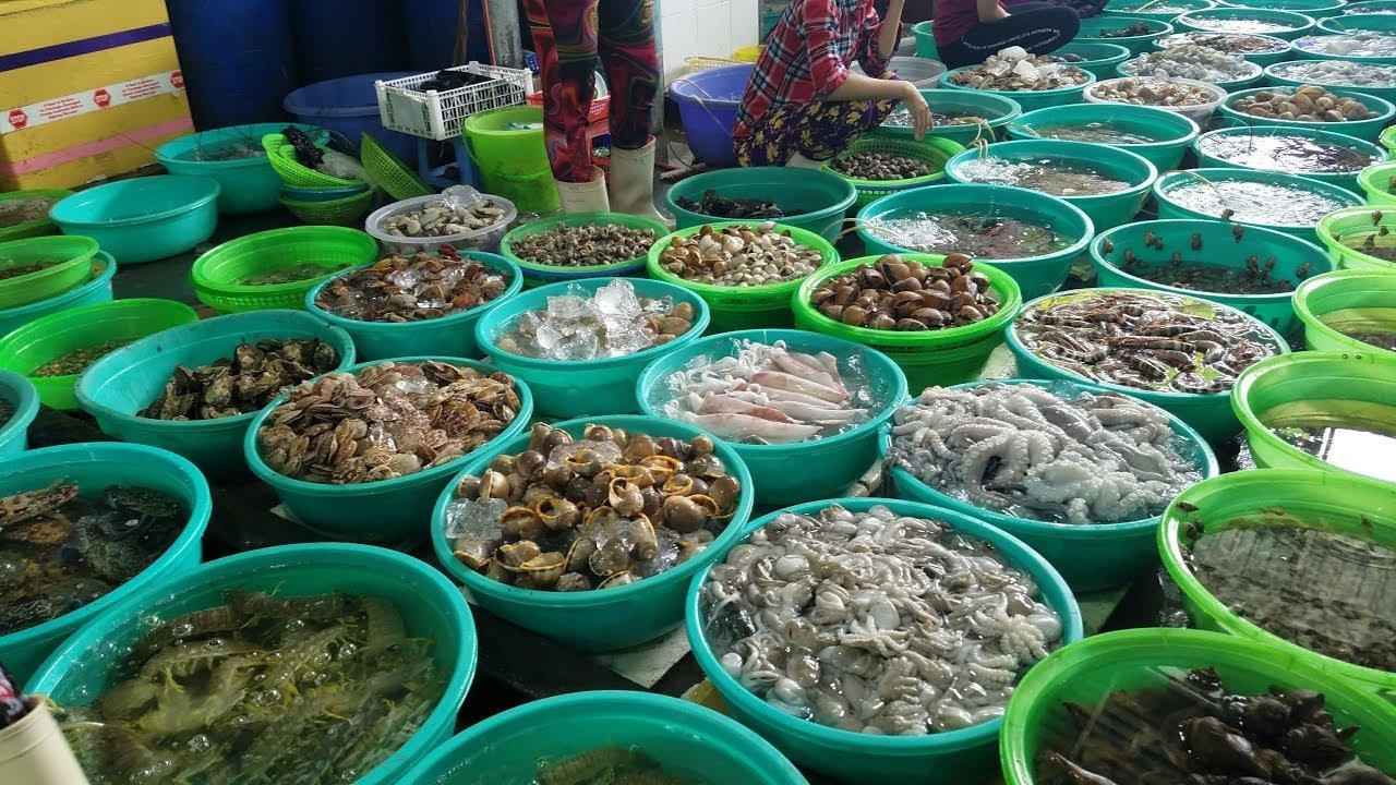 Da Nang Seafood Market - List of markets selling fresh seafood at extremely cheap prices 3