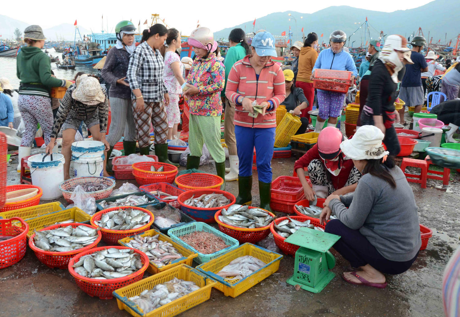 Da Nang Seafood Market - List of markets selling fresh seafood at extremely cheap prices 6