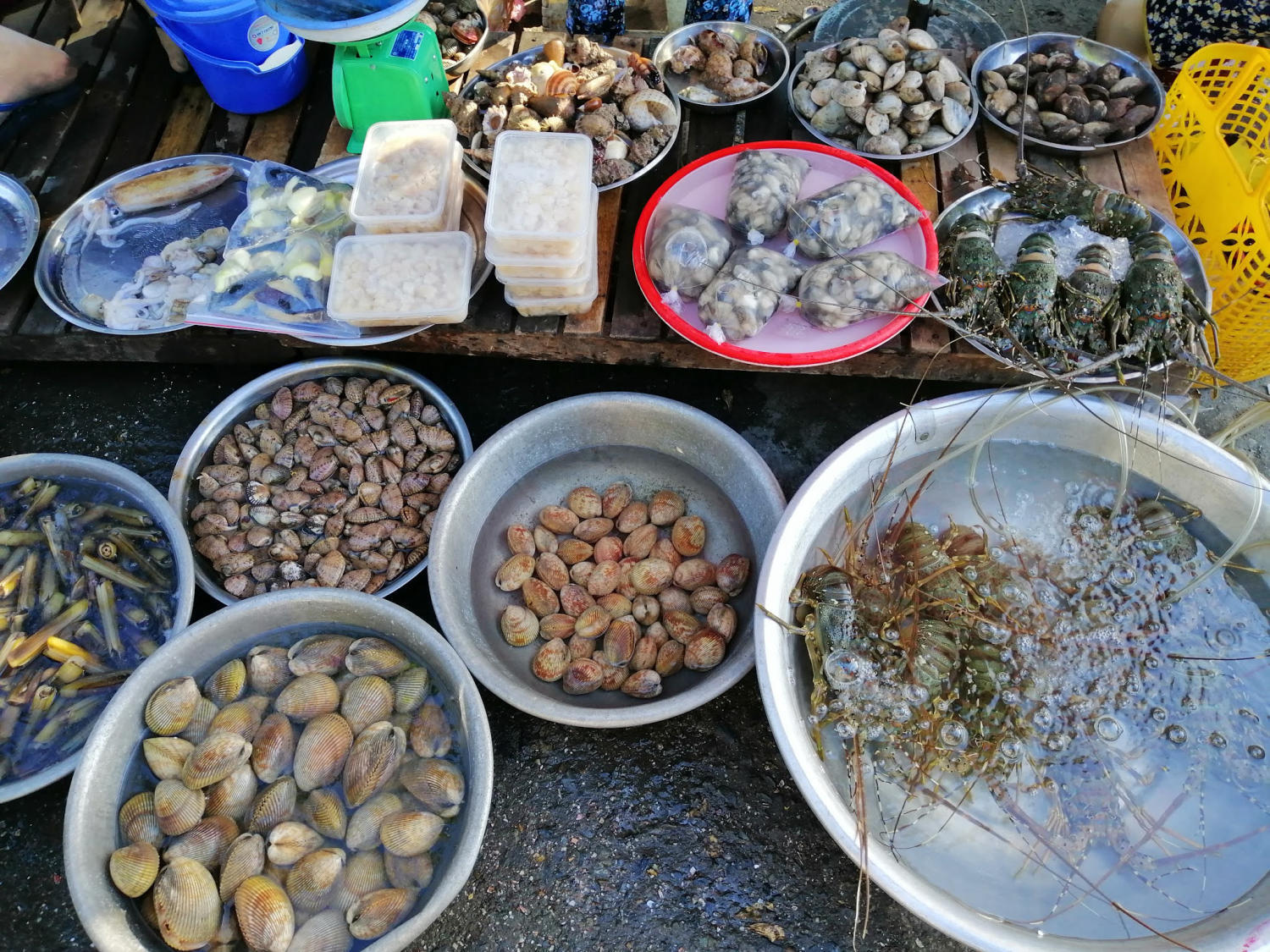 Da Nang Seafood Market - List of markets selling fresh seafood at extremely cheap prices 8
