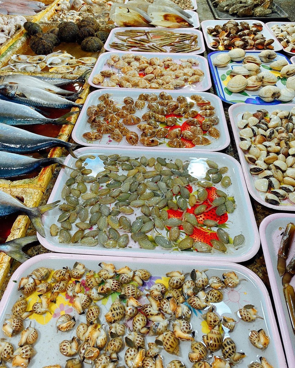 Da Nang Seafood Market - List of markets selling fresh seafood at extremely cheap prices 10