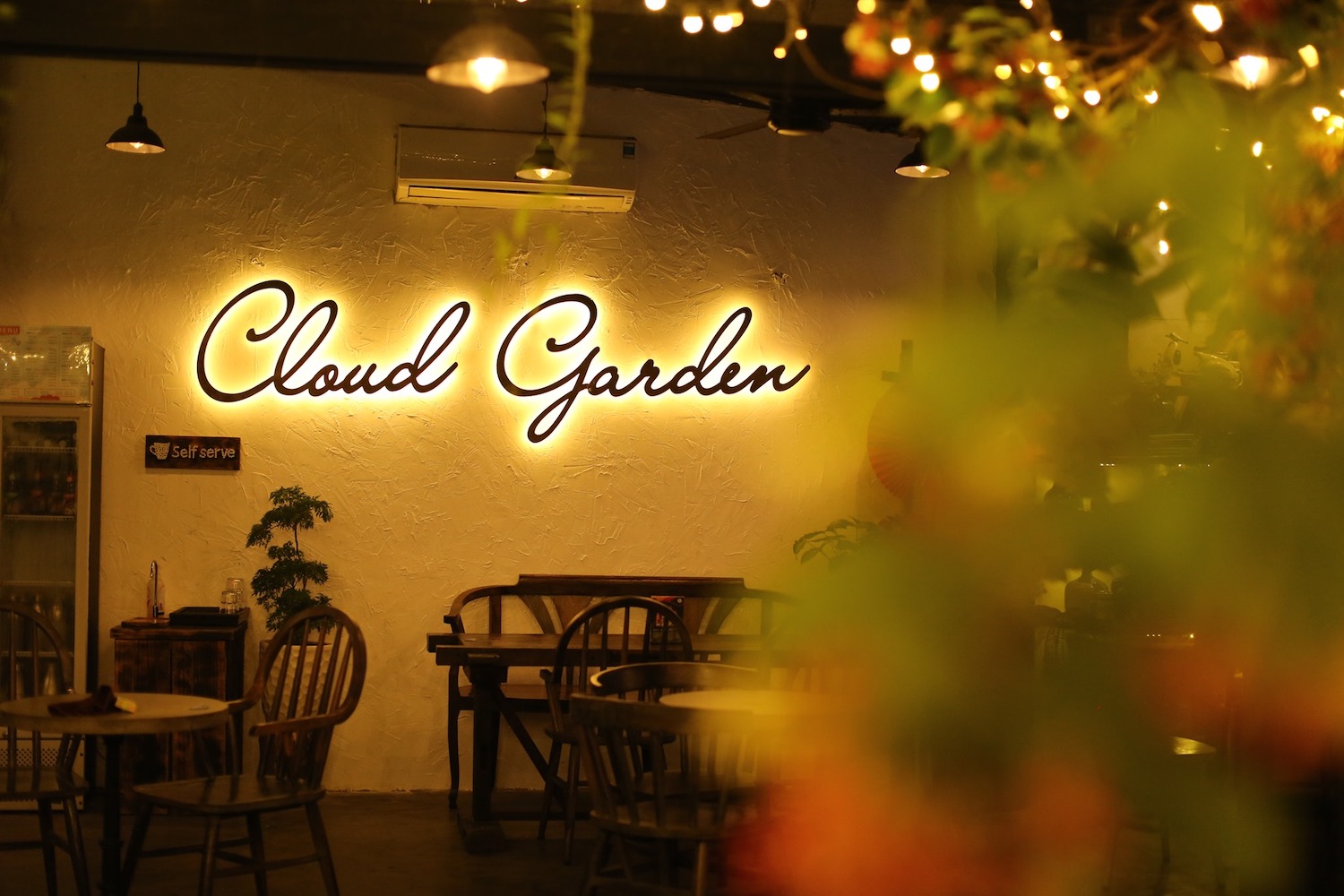 Cloud Garden Coffee Shop – Experience fancy Koi aquarium coffee in Da Nang 2