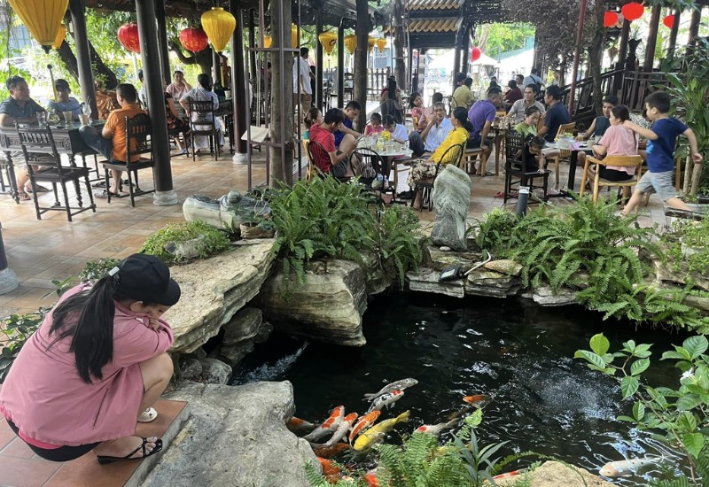 Top 8 Koi fish cafes with beautiful and chill views in Thu Duc 5