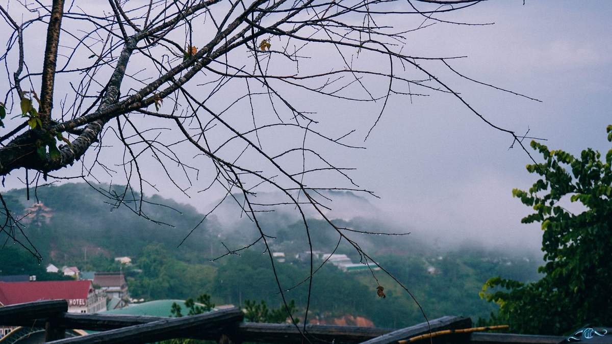 Dalat Heaven's Gate - Di Linh View - A romantic coffee shop like a rope connecting heaven and earth 4