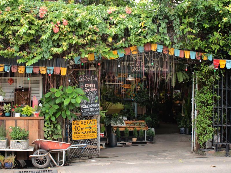 Owl on the Coffee Tree, a coffee shop with a unique green space 2