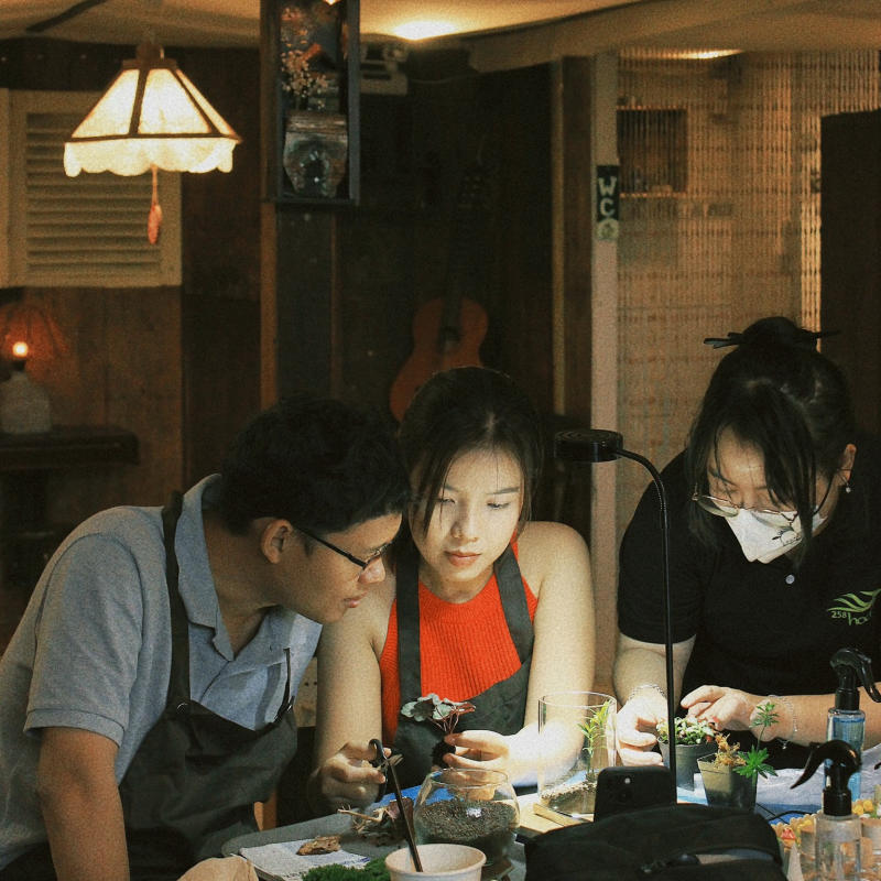 Owl on the Coffee Tree, coffee shop with unique green space 8