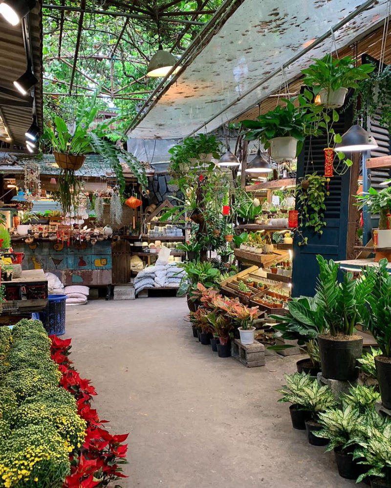 Owl on the Coffee Tree, coffee shop with unique green space 11