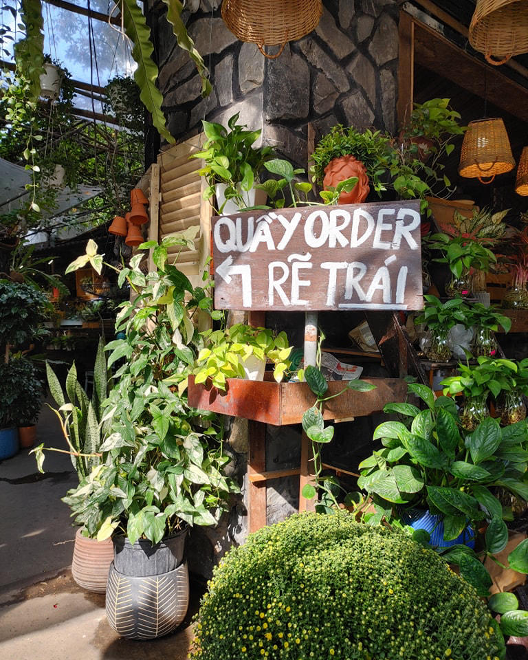 Owl on the Coffee Tree, coffee shop with unique green space 12