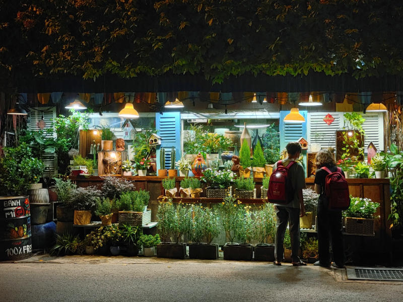 Owl on the Coffee Tree, coffee shop with unique green space 14