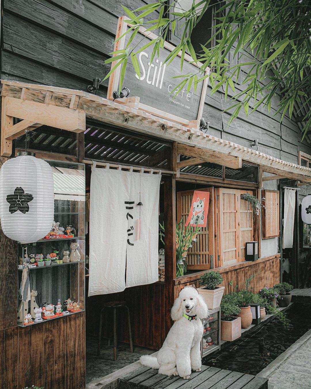 Join Still Coffee to learn about a very ancient Da Lat 2