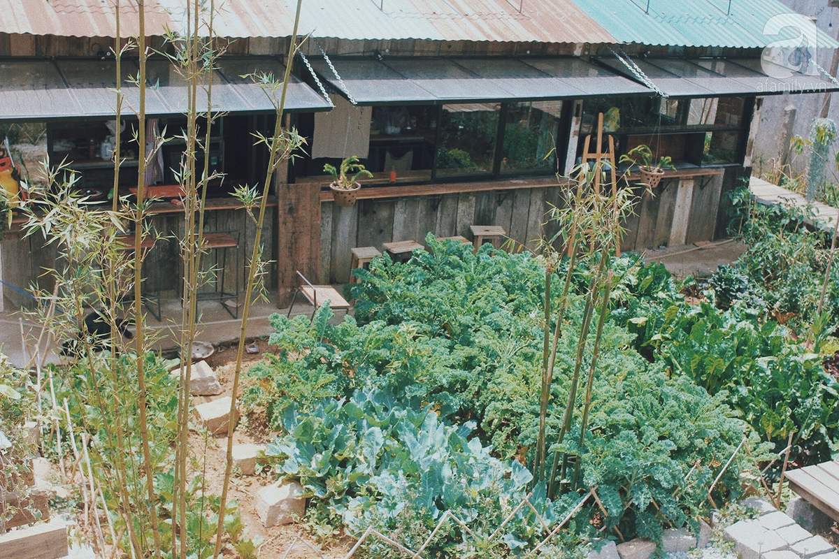 Join Still Coffee to learn about a very ancient Da Lat 7