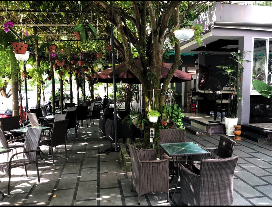 On the weekend, visit Shin's Garden to Refresh yourself in the cool green space in Da Nang 3