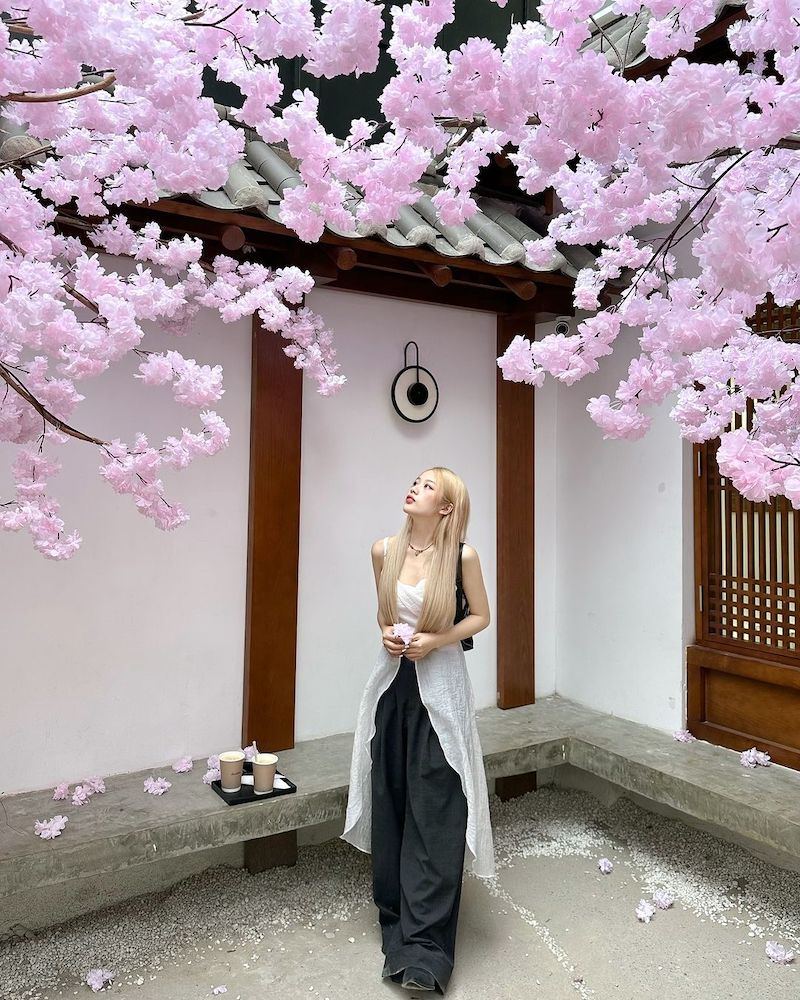 What's on at Daeshim Coffee, a cute Korean-themed coffee shop 14