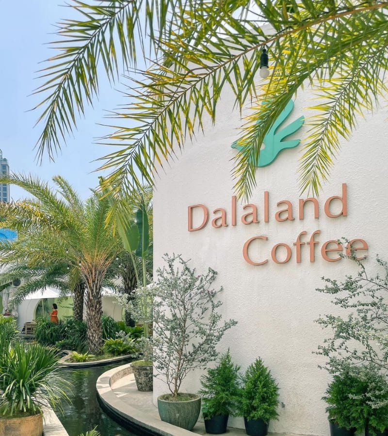 Dalaland Coffee, a very hot Mediterranean oasis in the middle of the city 2