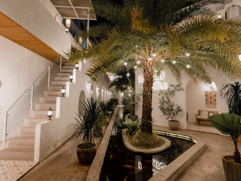 Dalaland Coffee, a hot Mediterranean oasis in the middle of the city 3