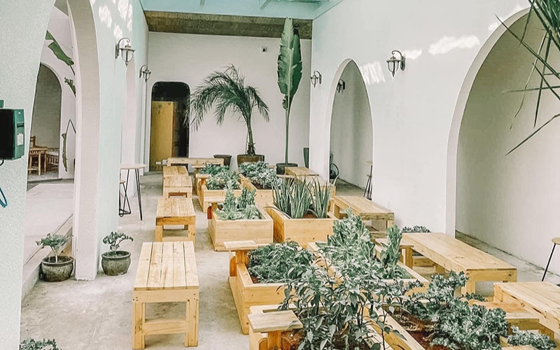 Dalaland Coffee, an extremely hot Mediterranean oasis in the middle of the city 7