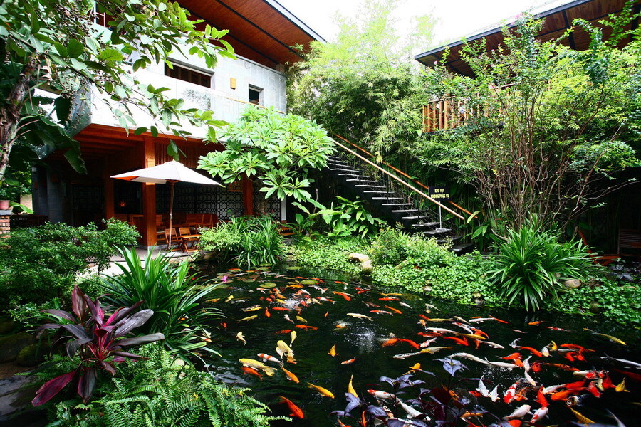 Immerse yourself in the extremely chill nature at Nia Cafe Da Nang 4