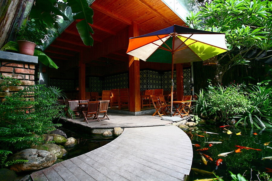 Immerse yourself in the extremely chill nature at Nia Cafe Da Nang 5