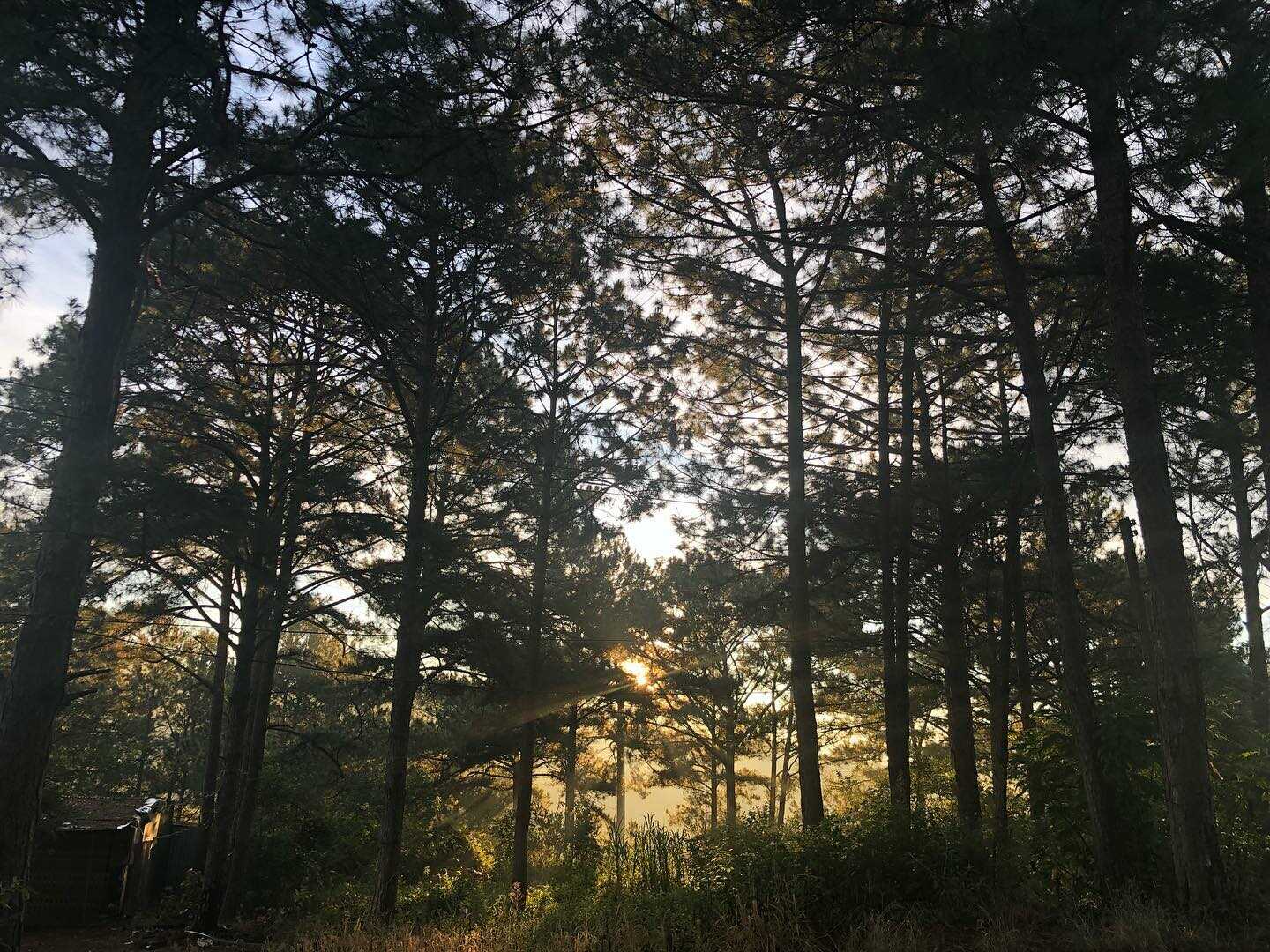 Come to The Seen House Coffee and see Tuyen Lam Lake as beautiful as a watercolor painting 4