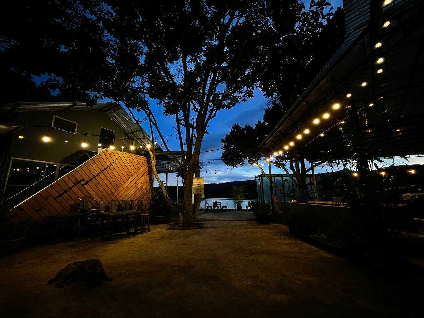 Come to The Seen House Coffee and see Tuyen Lam Lake as beautiful as a watercolor painting 14