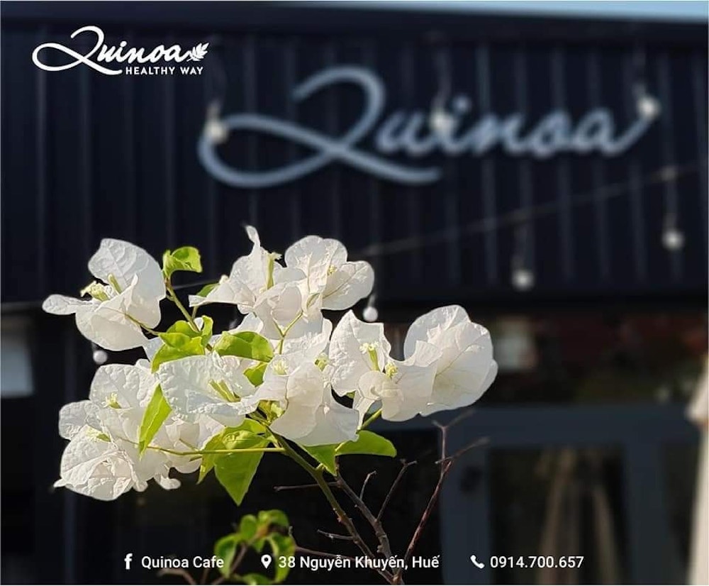 If you can't travel abroad, stop by Quinoa Café to have check-in photos like in the West 2