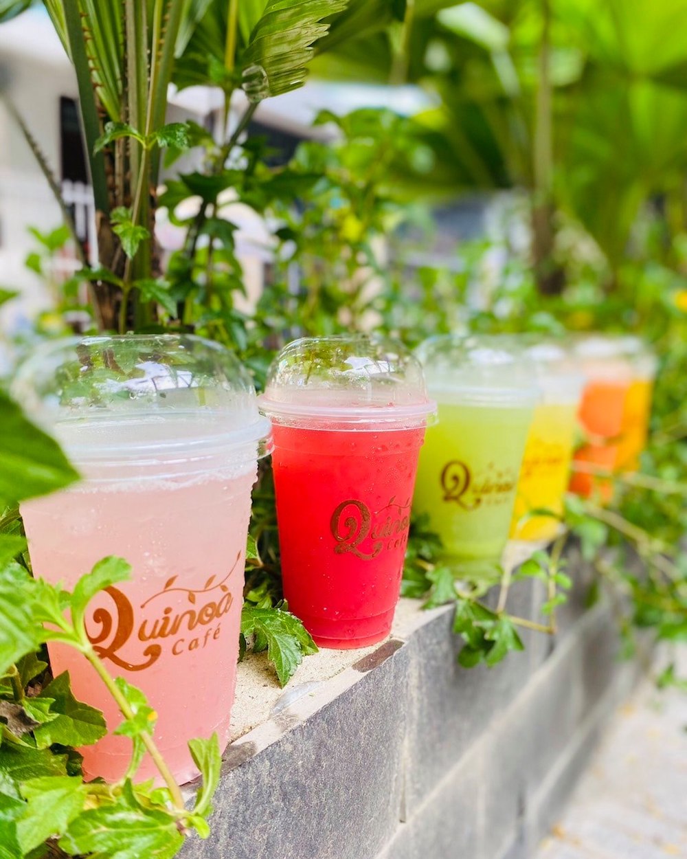 If you can't travel abroad, stop by Quinoa Café to have check-in photos like in the West