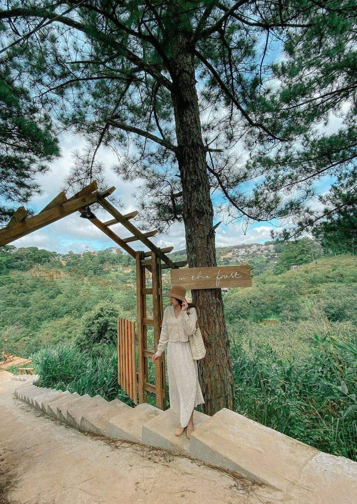 Check out million-like virtual living cafes you should visit in Da Lat 4