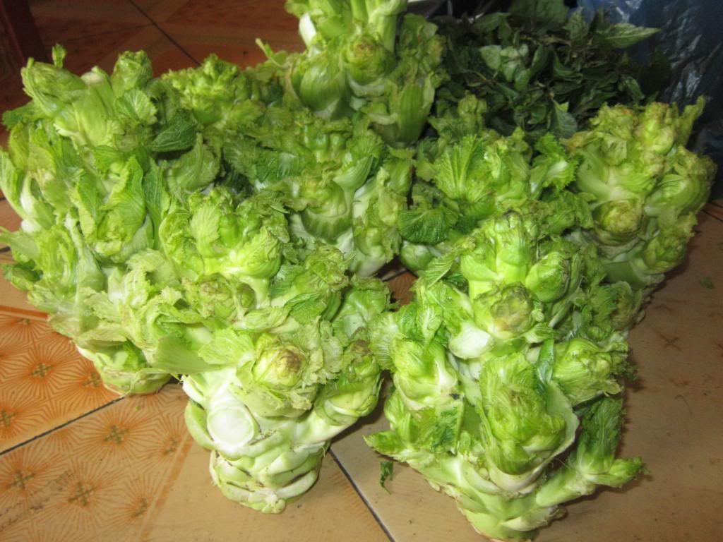 Unique specialty of Sapa stone sprouts - One-of-a-kind flavor of the mountains and forests 2