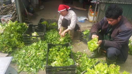 Unique specialty of Sapa stone sprouts - One-of-a-kind flavor of the mountains and forests 5