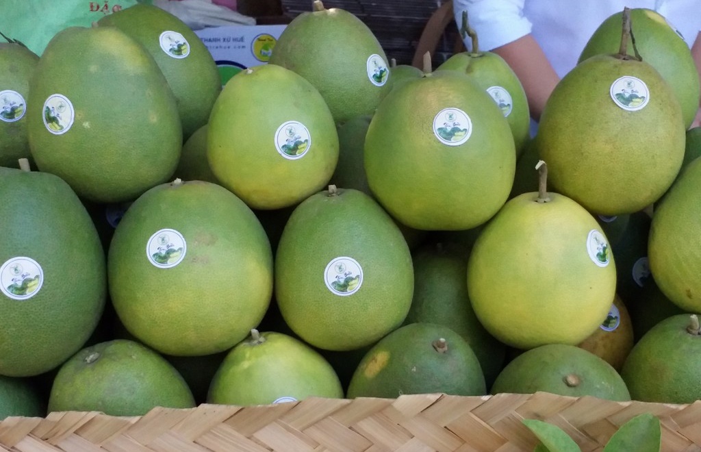 Come and enjoy the sweet and delicious Thanh Tra grapefruit segment in Hue 4