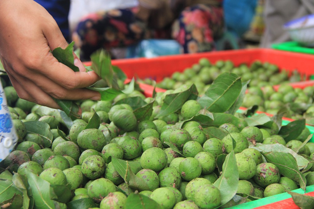 Suggesting gifts you should buy when traveling to Hanoi 6