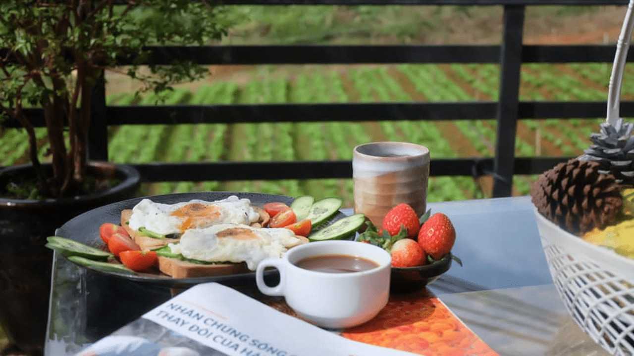 Green Box Coffee - Visit Da Lat's green garden, beautiful every centimeter 4