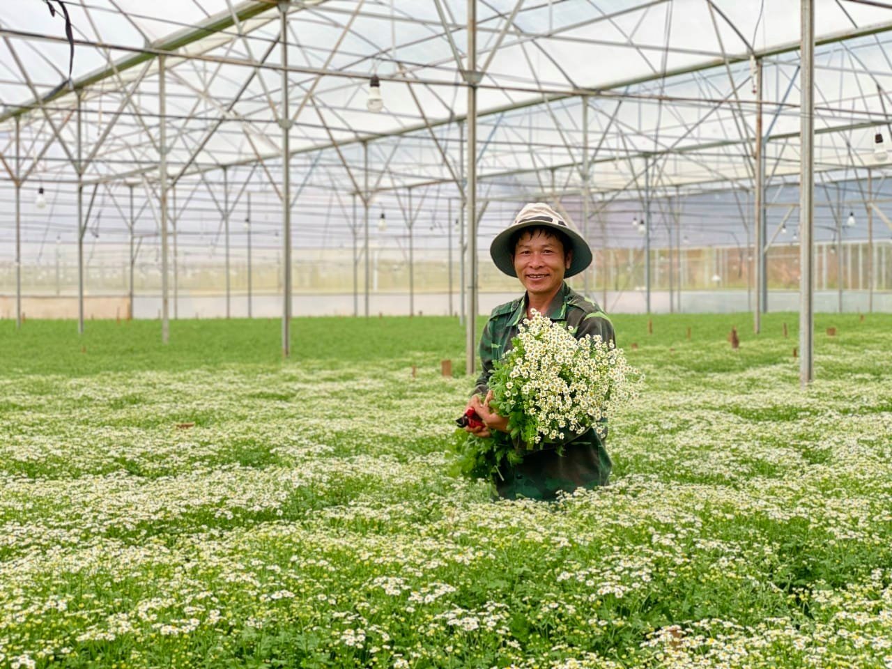 Green Box Coffee - Visit Da Lat's green garden, beautiful every centimeter 7